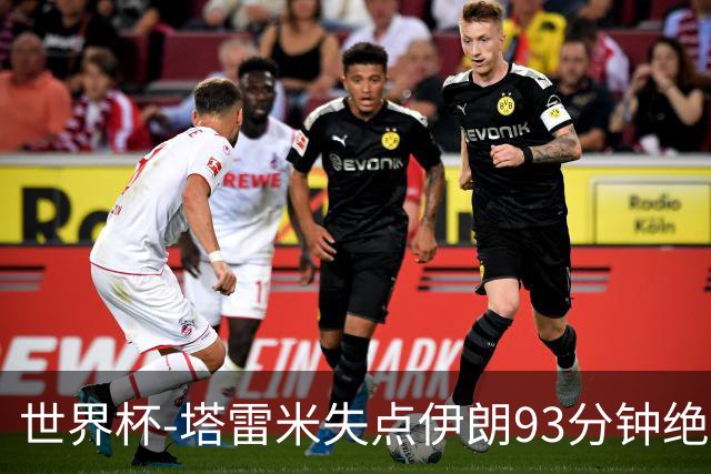 世界杯-塔雷米失点伊朗93分钟绝杀球被吹 埃及1-1获小组第二