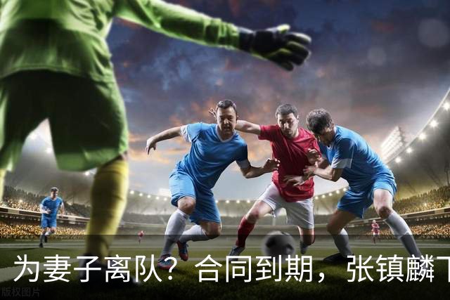 为妻子离队？合同到期，张镇麟下家4选1，广东2队有机会