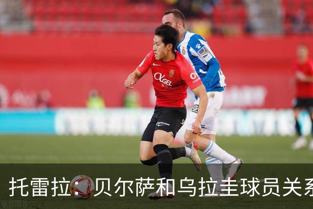 托雷拉：贝尔萨和乌拉圭球员关系不好 不明白为什么不带南德斯