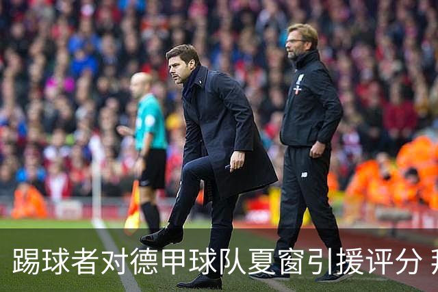 踢球者对德甲球队夏窗引援评分 拜仁第一多特第十